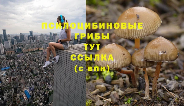 mix Гусиноозёрск