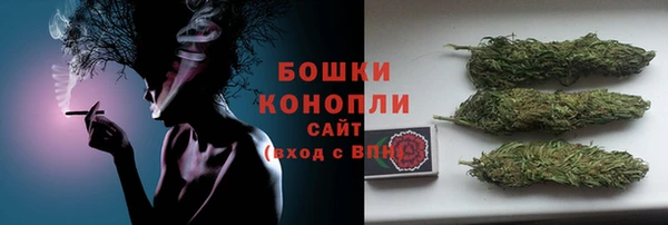 стаф Гусь-Хрустальный