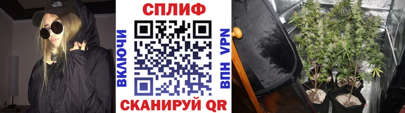 сколько стоит Никольское Каннабис гибрид